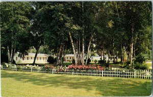 White Birch Motel Kalispell Montana Postcard