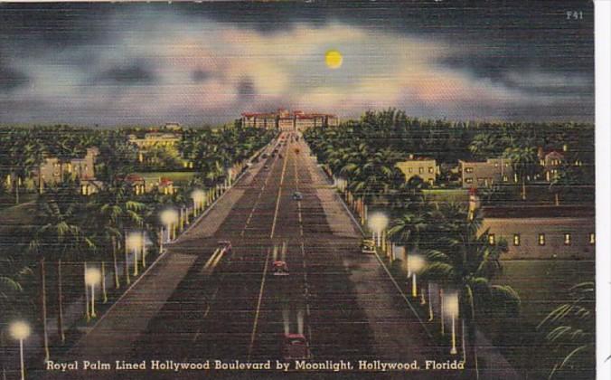 Florida Hollywood Royal Palm Lined Hollywood Boulevard By Moonlight