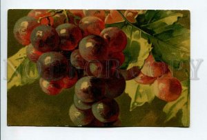 3177410 Dark GRAPES by KLEIN Vintage Colorful PC