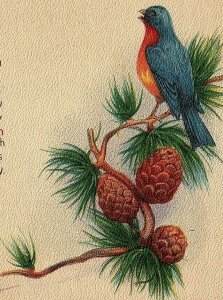 1907-15 Christmas Postcard Pine Bird Cones Greetings Blue Winter Hone Scene