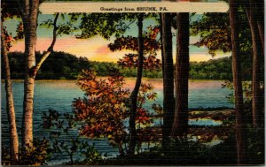 Vtg PA Scenic Greetings from Shunk Pennsylvania 1940s Linen Postcard