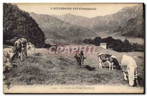 Old Postcard L & # 39Auvergne Picturesque The valley Chaudefour Cows