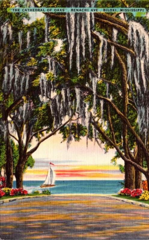 Mississippi Biloxi Benachi Avenue The Cathedral Of Oaks 1951