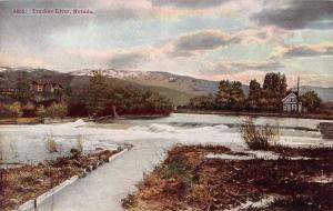 Truckee River Nevada Falls Scenic View Antique Postcard K39997