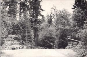 Englishman River Falls Park Errington BC Postcard D64 *As Is