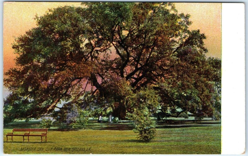 c1910s New Orleans, LA Monster Oak Tree Litho Photo Rotograph Postcard Vtg A61