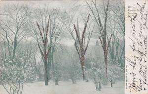 New York Syracuse Winter In Fayette Park 1905