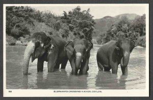 Ca 1935 RPPC* CEYLON ELEPHANTS CROSSING RIVER REAL PHOTO MINT