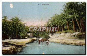 Old Postcard Algeria in I Oasis