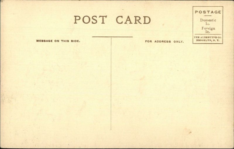 Black Americana Group in Cotton Field Pinehurst NC c1910 Albertype Postcard