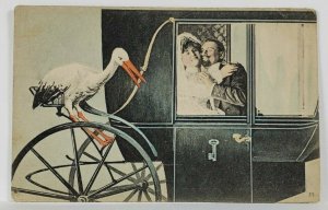 Newly Married Couple in Carriage Stork Nearby early 1900s Postcard R13