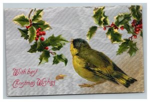 Vintage 1909 Christmas Postcard Cute Bird Mistletoe Holly Berries Silver Face