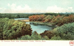 Charles River From Norumbega Tower Newton Massachusetts Vintage Postcard 1900's
