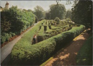 Middlesex Postcard - Hampton Court Palace, The Maze  RR18143