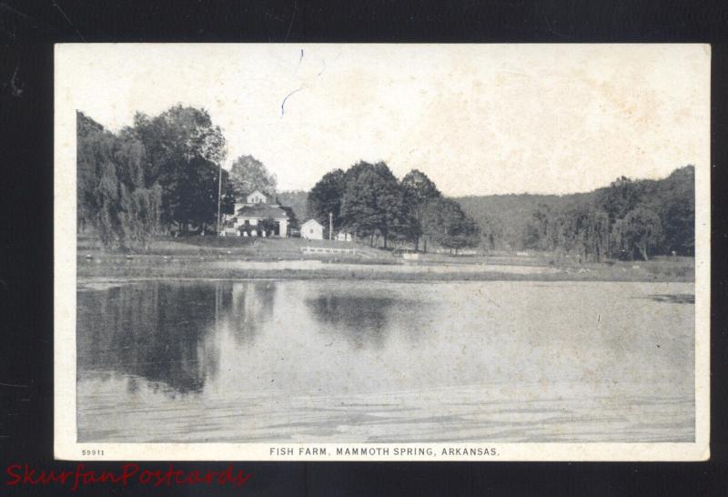 MAMMOTH SPRING ARKANSAS FISH FARM ANTIQUE VINTAGE POSTCARD SPRINGS