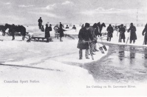 Canada Typical Canadian Winter Sports Ice Cutting On St Lawrence River