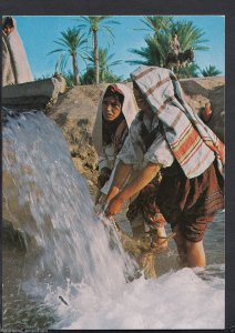 Africa Postcard - South Tunisia - Bedouin at The Spring  RR1284