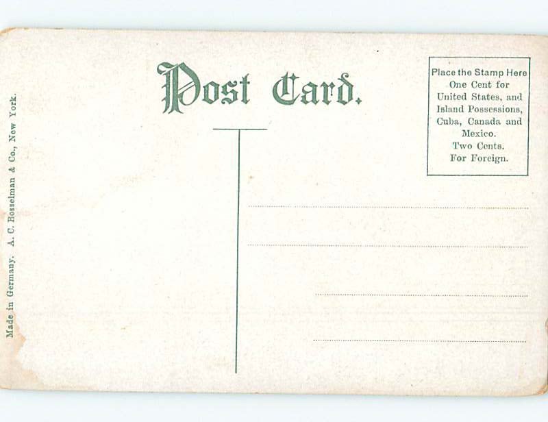 Divided-back BUILDING SCENE Newport Rhode Island RI AE8950