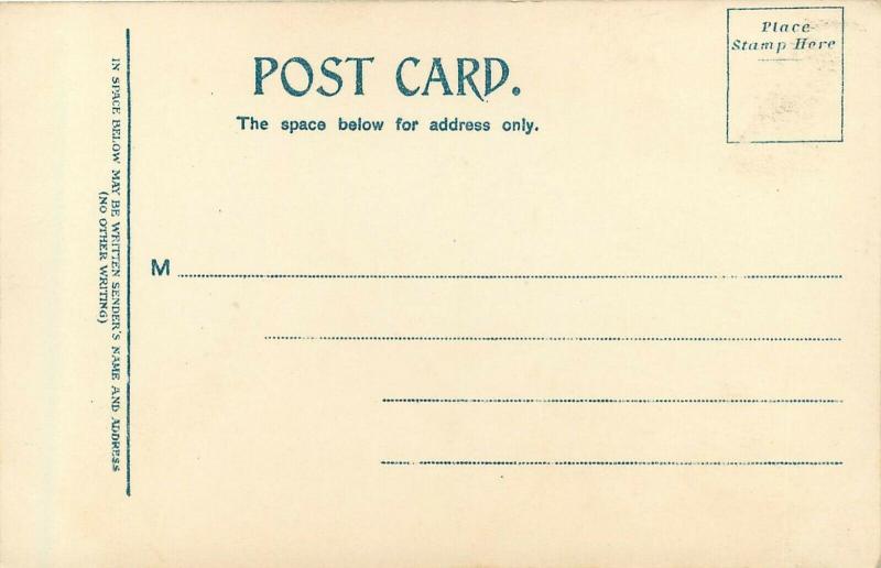 c1907 Chromograph Postcard; Third Street Scene, Cedar Rapids IA Linn County