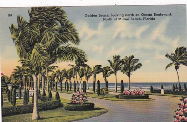 Florida Miami Beach Golden Beach Looking North On Ocean Boulevard