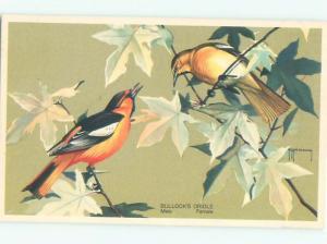 Pre-1980 BULLOCKS ORIOLE BIRD AC5972