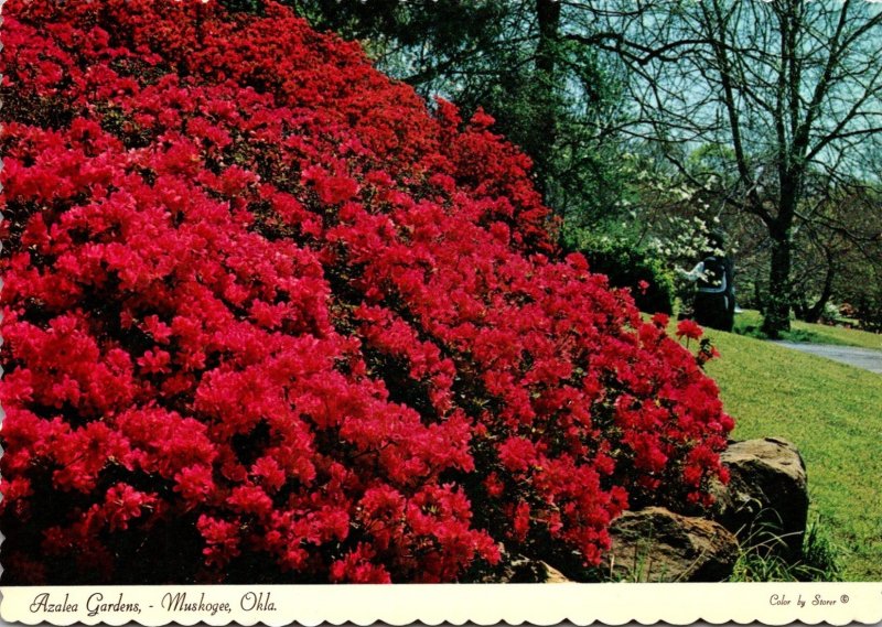 Oklahoma Muskogee Azalea Gardens In Honor Heights Park