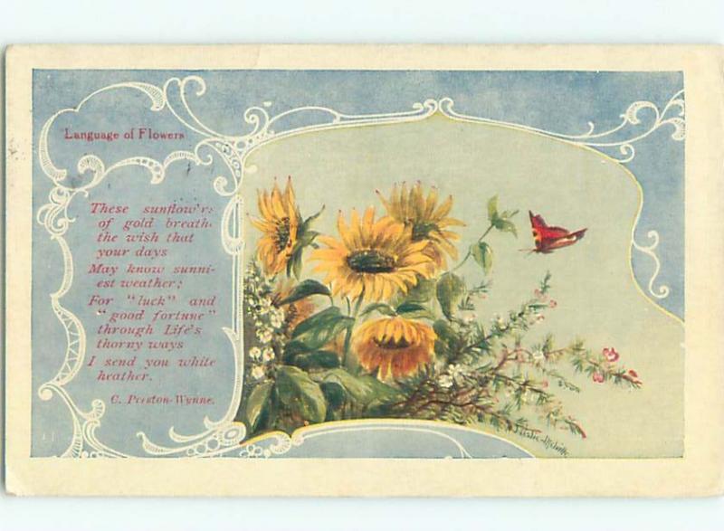 c1910 Language Of Flowers signed BUTTERFLY WITH SUNFLOWERS AC5096