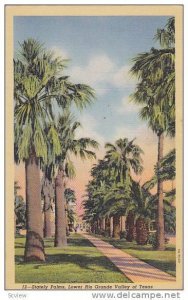 Scenic view, Stately Palms, Lower Rio Grande Valley of Texas,  PU-30-40s