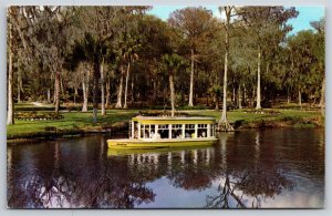 Ships~Glass Bottom Boat @ Florida Silver Springs~Vintage Postcard