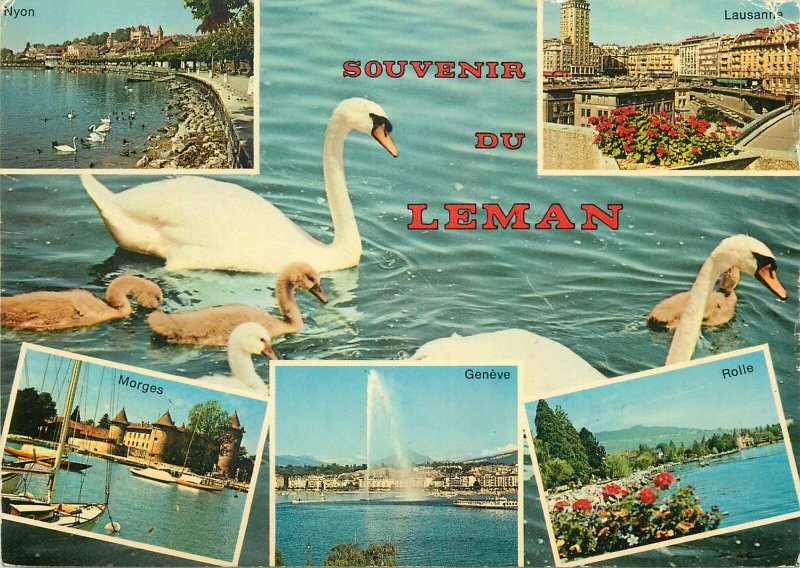 Postcard Switzerland souvenir de lac Leman