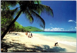 Davis Bay Resort British Columbia Canada Beach Beauty Palm Tree Postcard