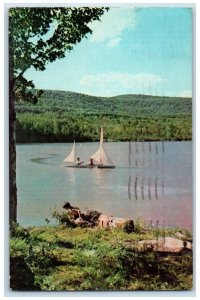 1971 White Birches Campsites Woodlands Catskills Camp Windham New York Postcard 