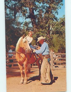 Pre-1980 COWBOY WITH HORSE Yosemite Park - Near Stockton & Modesto CA AD3666