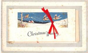 Booklet opens as greeting card Christmas  yellowing on front from age