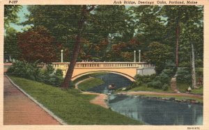 Vintage Postcard Arch Bridge Deerings Oaks River Trees Portland Maine PNC Pub.