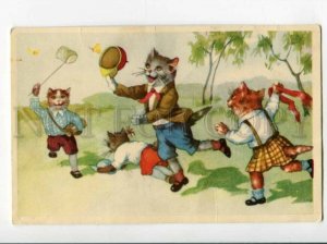 3107579 Dressed CATS Kittens playing w/ BUTTERFLY Vintage PC