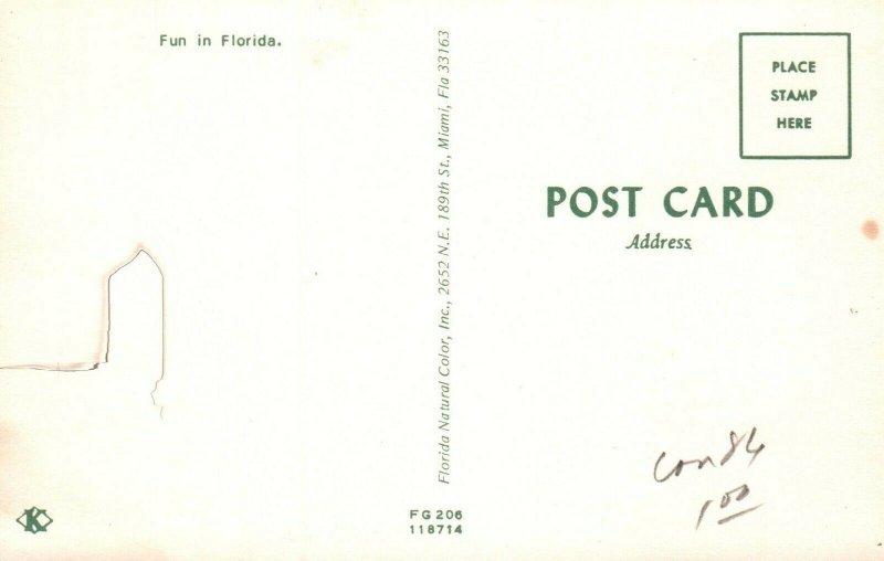 Florida FL Woman In Bikini Alligator Rather Bite Than Switch Beach Postcard 