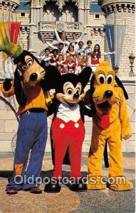 Goofy, Mickey & Pluto Walt Disney World, FL, USA 1980 