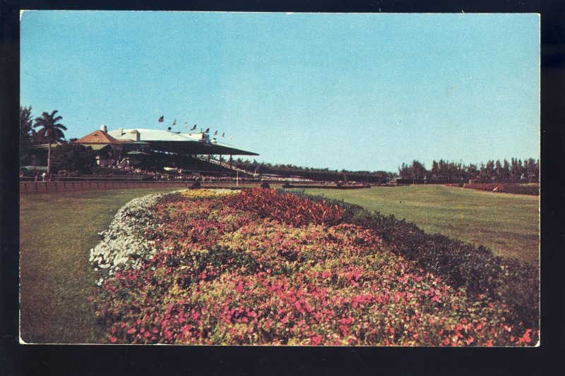 Hialeah, Florida/FL Postcard, Hialeah Race Track, Horse Racing