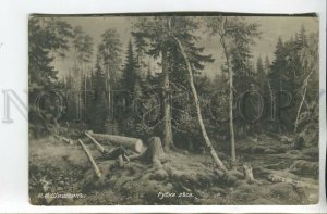 461777 SHISHKIN logging Forest RUSSIA Vintage postcard