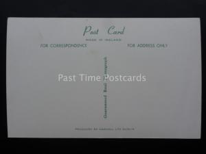 Ireland KILDARE Naas, North Main Street Old RP Postcard by Cardall Ltd