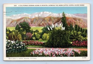 A California Garden Scene In Winter Sierra Madre CA Linen Postcard D16