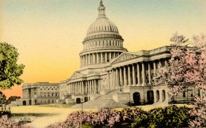 DC - Washington. United States Capitol  (Hand Colored)