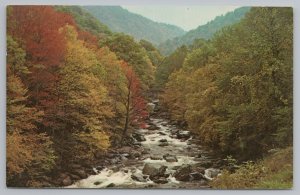 National & State Parks~Falls @ Little Pigeon River Smoky Mts~Vintage Postcard
