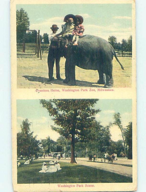 W-Border ZOO SCENE Milwaukee Wisconsin WI AG1958