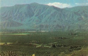 Postcard Ojai Valley Ventura County California