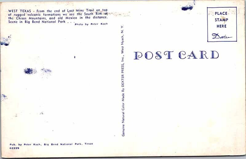 Postcard PEOPLE SCENE State of Texas TX AK9783