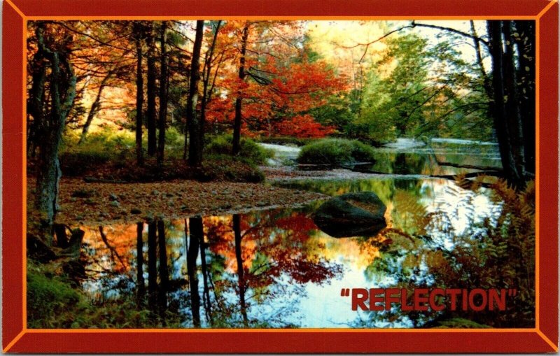 Reflection New England Reflected Colors Foliage Time Fall Autumn Postcard UNP 