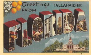 Florida FL    TALLAHASSEE LARGE LETTER LINEN Greetings    ca1940's Postcard