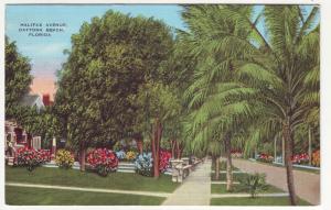 P335 JLs 1930-45 postcard halifax ave daytona beach fl gardens